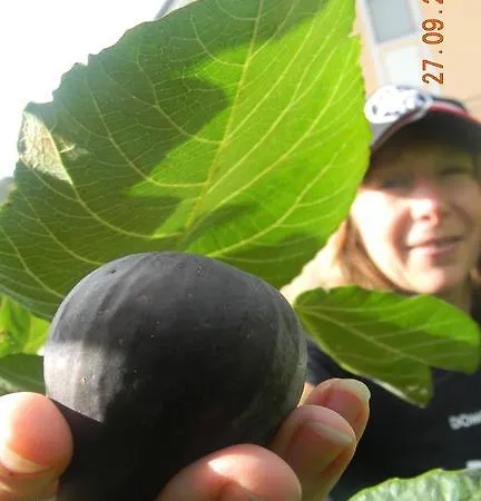 Silva Marija アパート *