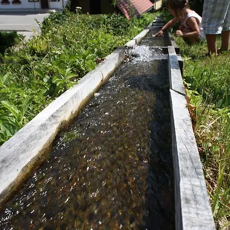 Apartma Silva Marija *