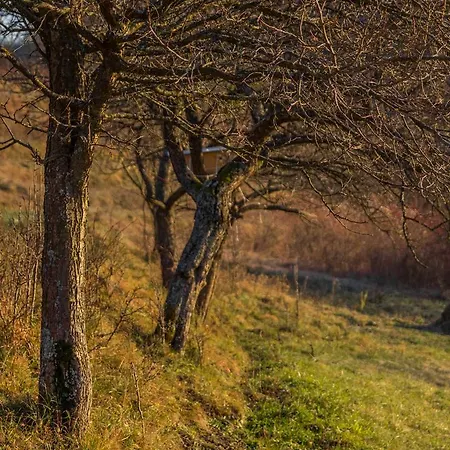 アパート Silva Marija