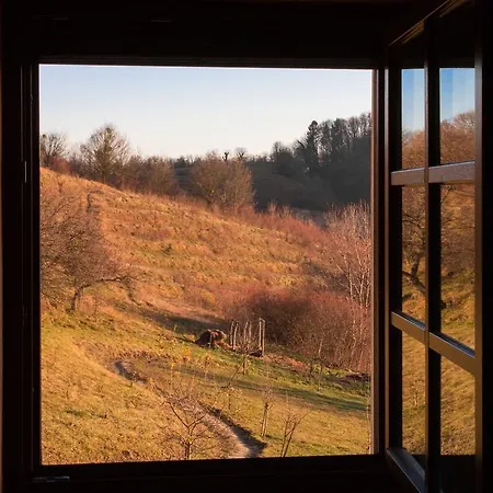 Silva Marija Pišece