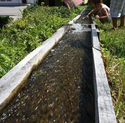 Apartman Silva Marija *