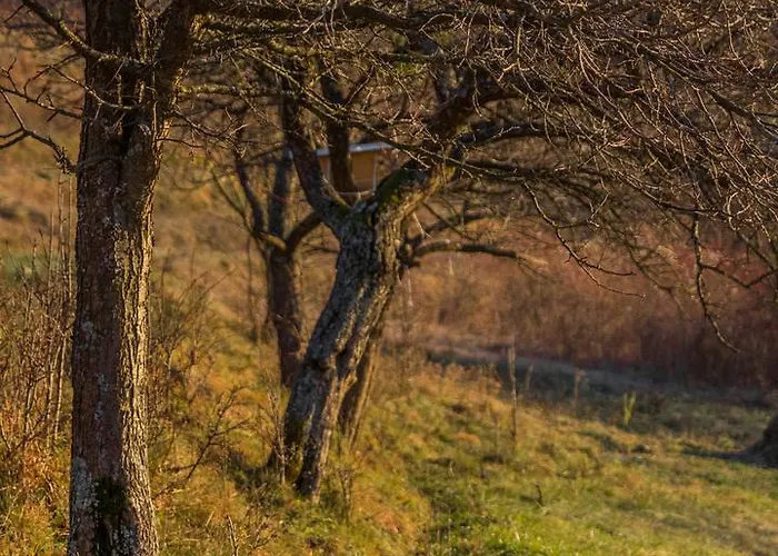 Apartman Silva Marija